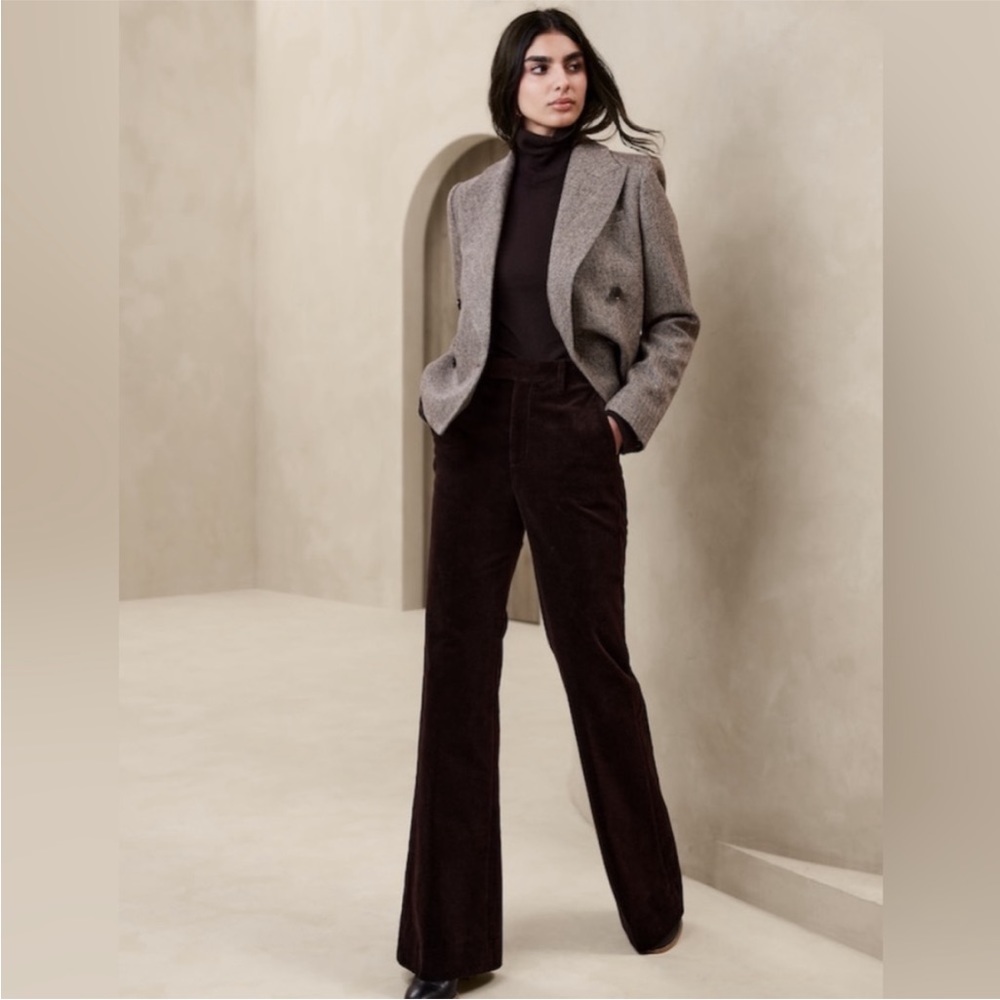 Banana Republic Costal Coffee Brown Ama Wide-Leg Italian Corduroy Pant 4T
